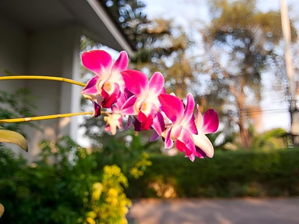Chayada Garden House And Resort Hotel Nakhonratchasima Eksteriør billede